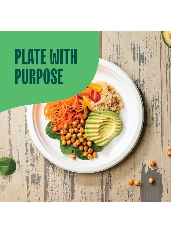 Stack Man 100% Compostable 10 Inch Heavy-Duty Plates - Image 2